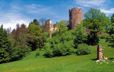 Burgruine Prandegg